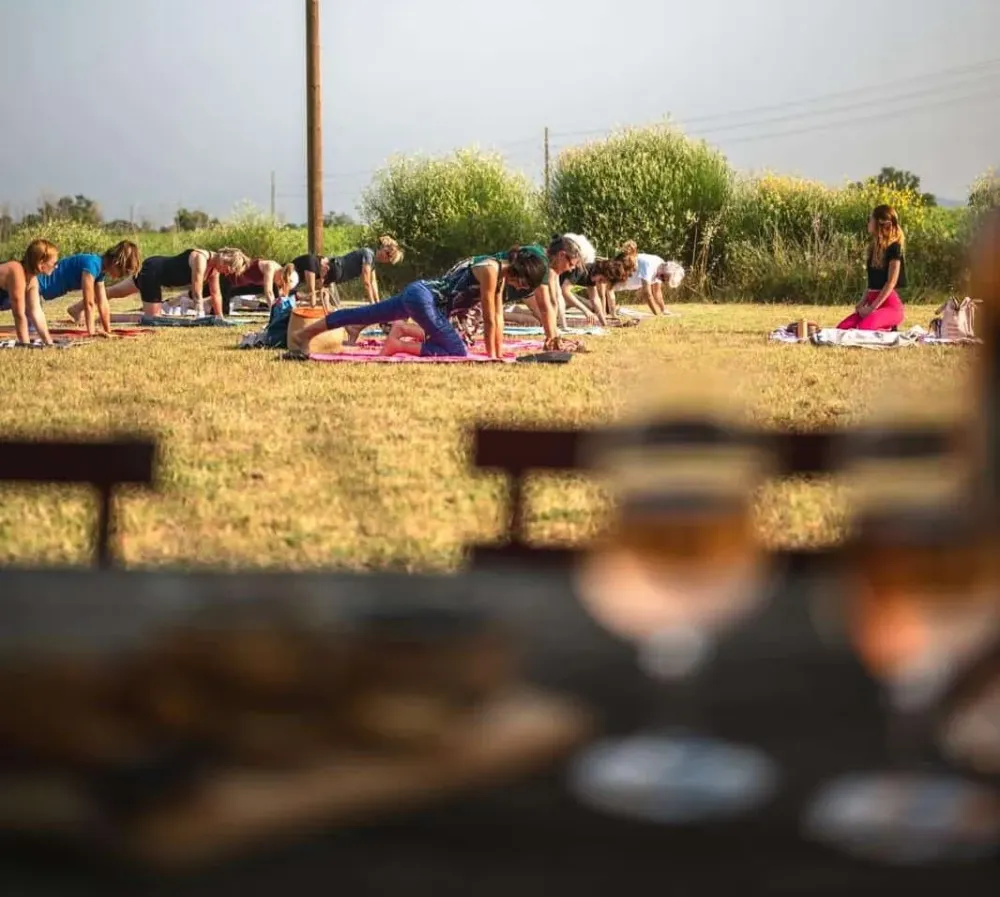 Yoga & Dégustation de Vin à Puget-sur-Argens